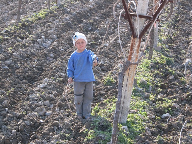 Child in fields at Colossae